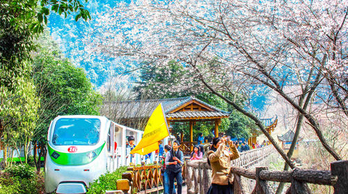 张家界国家森林公园二日游【上门接送 智游精