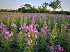 宁波植物园-宁波-C-IMAGE
