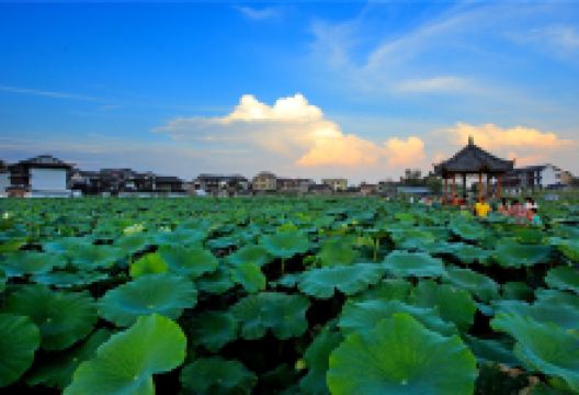 浦市古镇景点图片