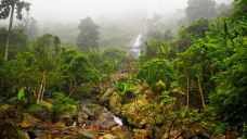 海南百花岭热带雨林文化旅游区-琼中