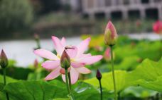 仙山湖风景区-长兴