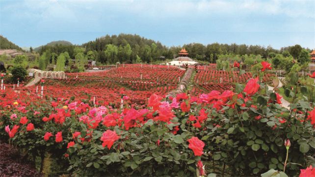 贵州农业博览园