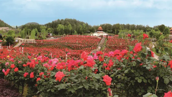 貴州農業博覽園