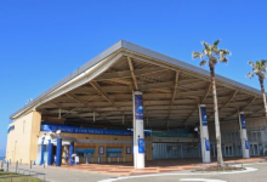 新江之岛水族馆景点图片