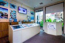 海哺栖息地-新加坡