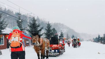 滨出发,赠送索菲亚门票、滑雪纪念章、意外险