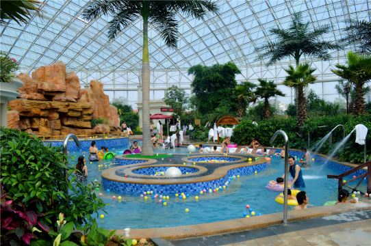 临沂奥华维景温泉一日游【济宁出发】