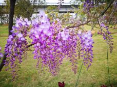 宁波植物园-宁波-C-IMAGE