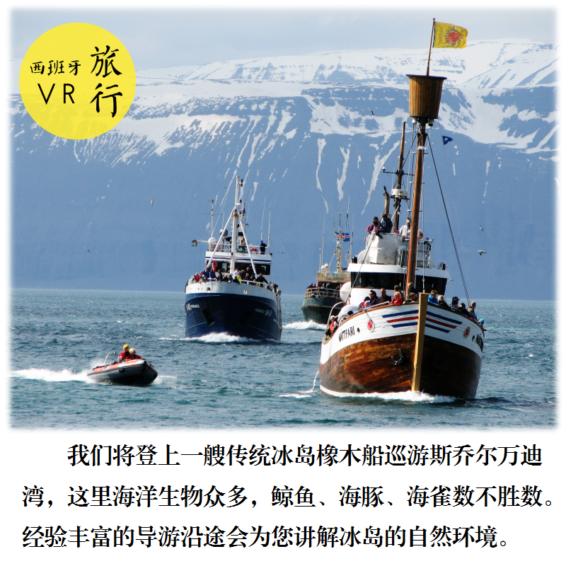 冰岛胡萨维克小镇观鲸之旅半日游【专业导游讲