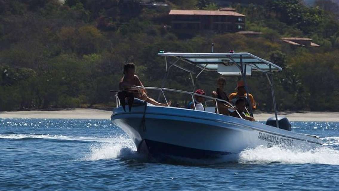 Flamingo Beach Snorkeling Boat Tour