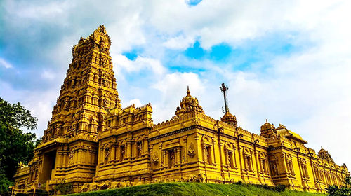 马来西亚雪兰莪皇家山 夜赏萤火虫 喂老鹰半日游【寻觅仲夏夜的精灵】