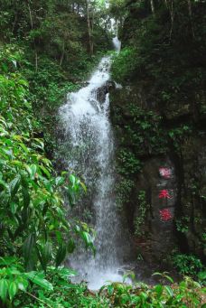 牛姆林生态旅游区-永春