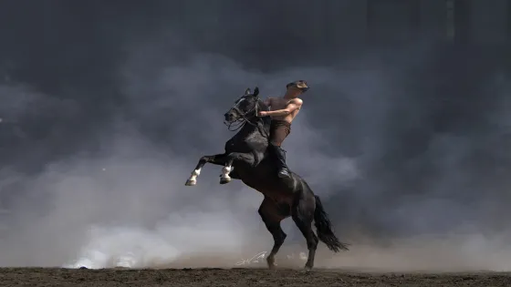 新疆古生態園汗血馬基地