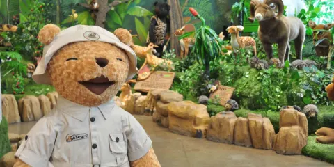 泰迪熊動物王國Teseum