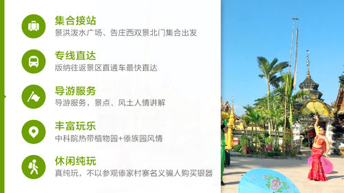西双版纳旅游：包车新体验