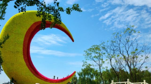 七彩海巢欢乐世界重点规划了海洋动物世界,陆地动物王国,萌宠互动乐园