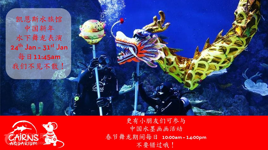 凱恩斯水族館