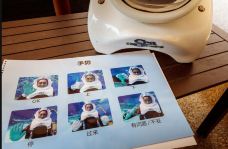 海哺栖息地-新加坡