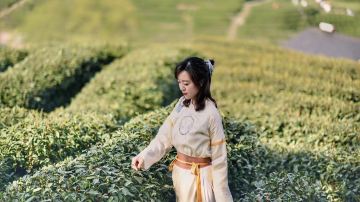 Longjing Village