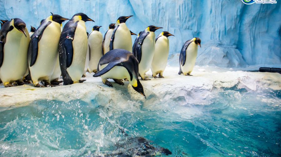 珠海长隆度假区