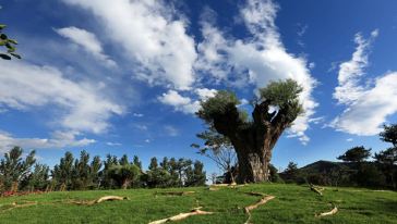 小穿乡野公园(Xiaochuanxiangye Park)