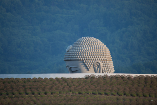 在开园30周年之际,邀请了建筑家安藤忠雄进行了设计.