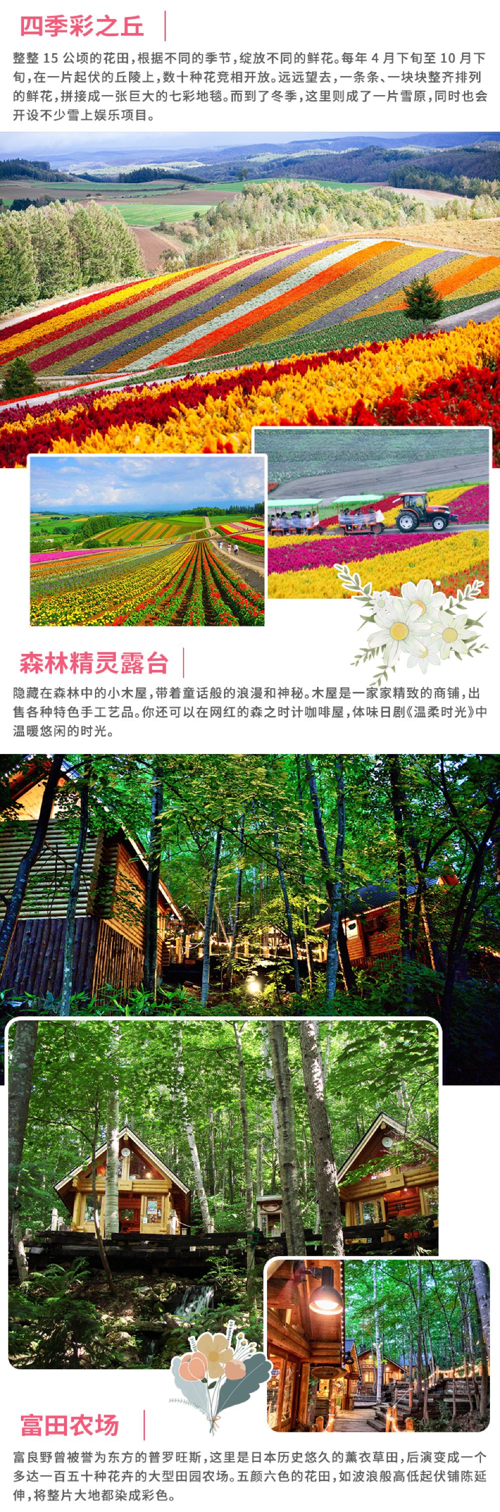 北海道拼布之路 四季彩之丘 富田农场 白金青池 旭山动物园一日游 多套餐可选 超人气景点 线路推荐 携程玩乐 北海道拼布之路 四季彩之丘 富田农场 白金青池 旭山动物园一日游 多套餐可选 超人气景点 线路推荐 携程玩乐