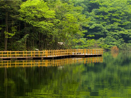 西河景区