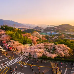 Daegu