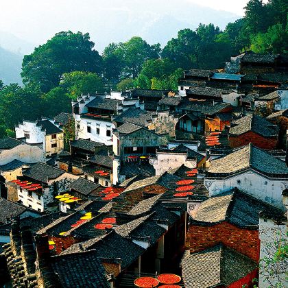 西递+宏村景区+新安江山水画廊+徽州古城+婺源篁岭景区3日2晚跟团游