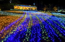 东南植物乐园-冲绳