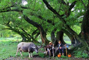 北岐日出/杨家溪-小皓-光影栈道-东壁日落1日游【霞浦光影全天追拍｜光影魔术全记录｜天天发团说走就走】