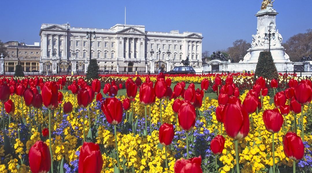 Buckingham Palace And Windsor Castle Tour Trip Com