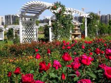 宁波植物园-宁波-C-IMAGE