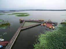 宝应湖国家湿地公园-宝应-C-IMAGE