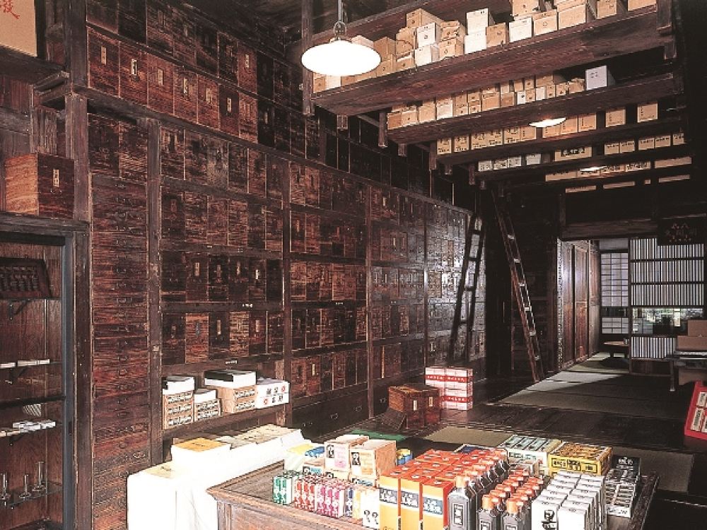 东京东京目黒雅叙园 江户东京建筑园 三鹰之森吉卜力美术馆一日游 东京往返 线路推荐 携程玩乐