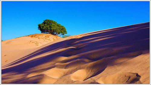 甘肃省沙漠地区 350r13000000tjqjj1712_C_500_280_Q80.jpg