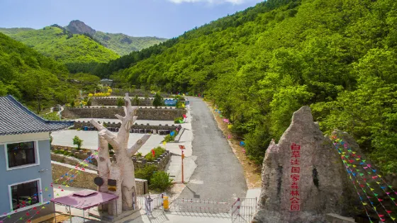 白草窪國家森林公園