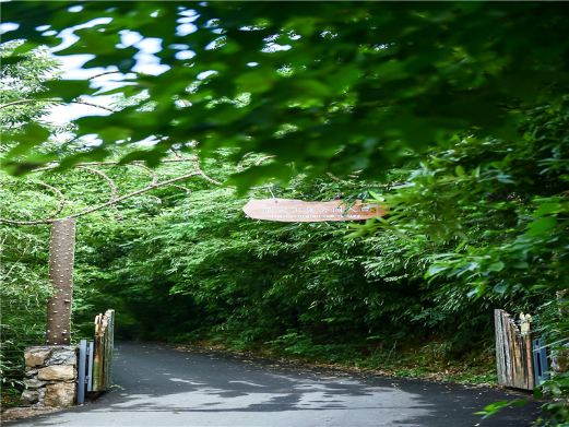 美岕萤火虫生态夜公园
