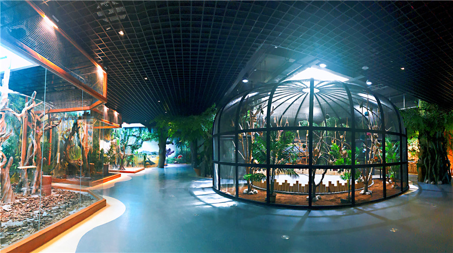 西寧2日遊:探索塔爾寺的佛教魅力,深入了解青海藏文化博物院