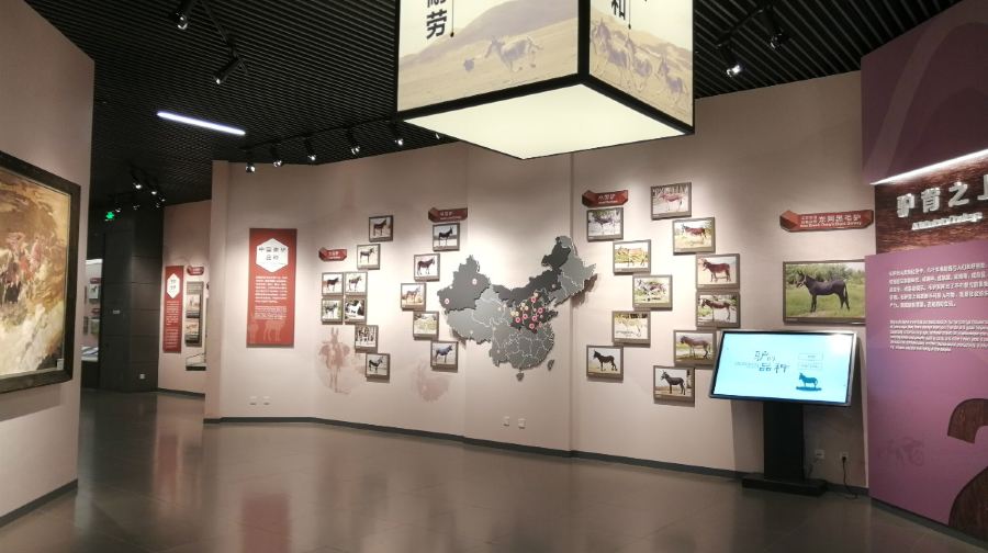 中国毛驴博物馆