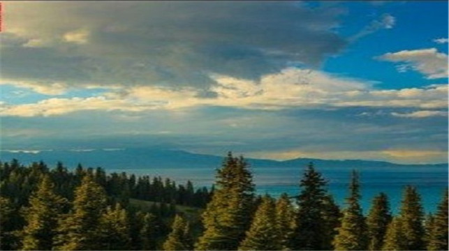 科山观松