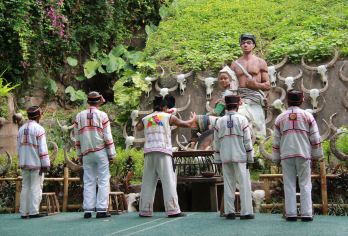 原始森林公园+基诺山寨一日游【市区接送·6人小团·品质纯玩】【探秘热带雨林，赏孔雀放飞，感受基诺民族浓郁的民族风情；】