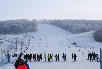 帽儿山滑雪场一日游【包含雪鞋雪板雪杖+往返车费，5s滑雪场】【[产品特色]体验型滑雪初级魔毯 热身型滑雪初中级（拖牵+魔毯） 专业型滑雪中级（吊椅+拖牵）】