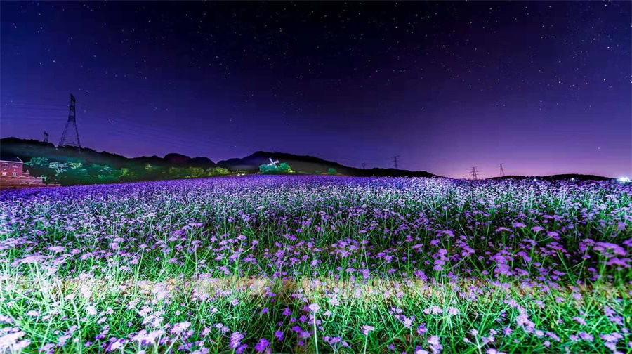 紫云花汐薰衣草庄园