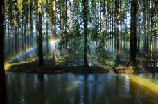 宝应湖国家湿地公园-宝应-C-IMAGE