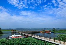 宝应湖国家湿地公园景点图片
