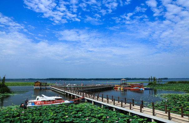 宝应湖国家湿地公园