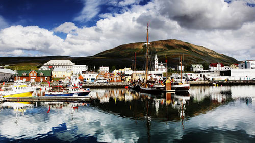 冰岛胡萨维克小镇观鲸之旅半日游【专业导游讲