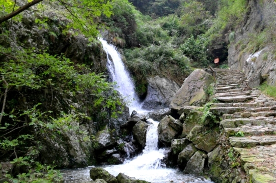 绍兴稽东雪窦岭一日游【漫步网红水杉步道,去看色彩浓烈的秋季】